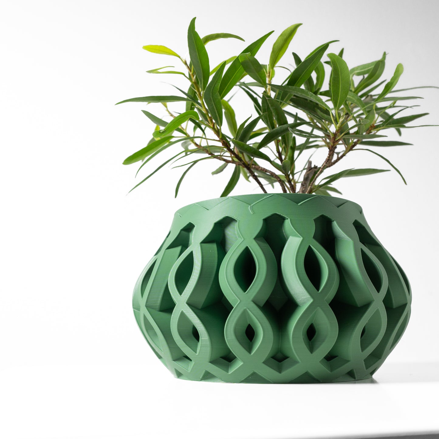 Cylas Planter Pot