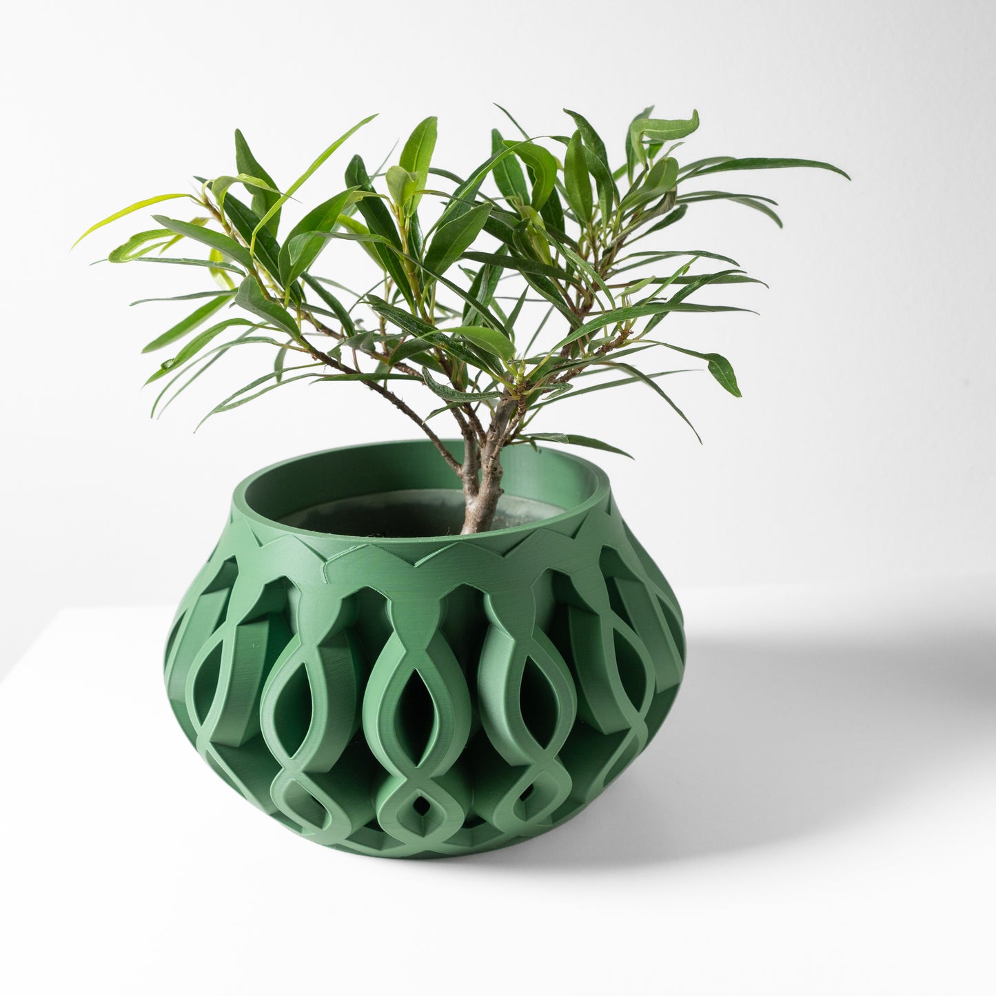 Cylas Planter Pot
