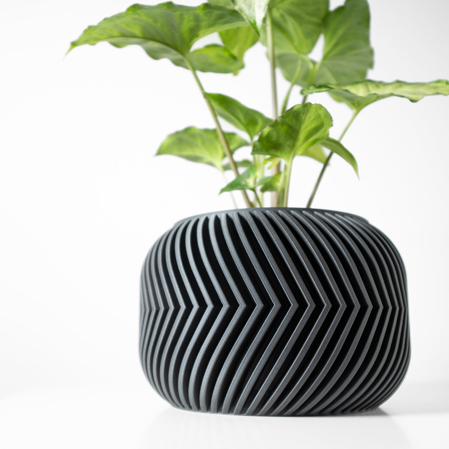 Ervon Planter Pot