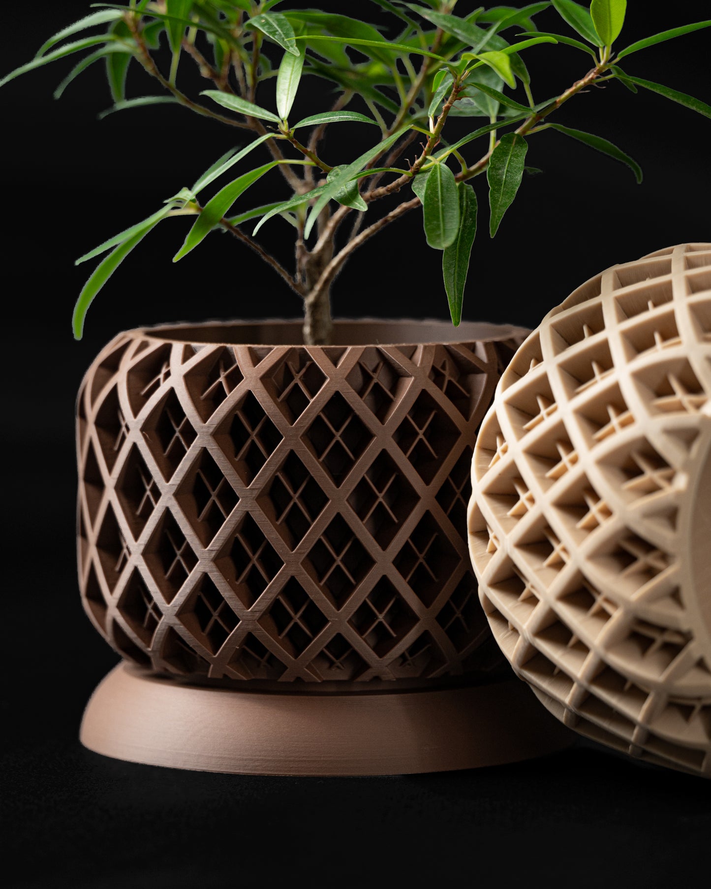 Torio Planter Pot