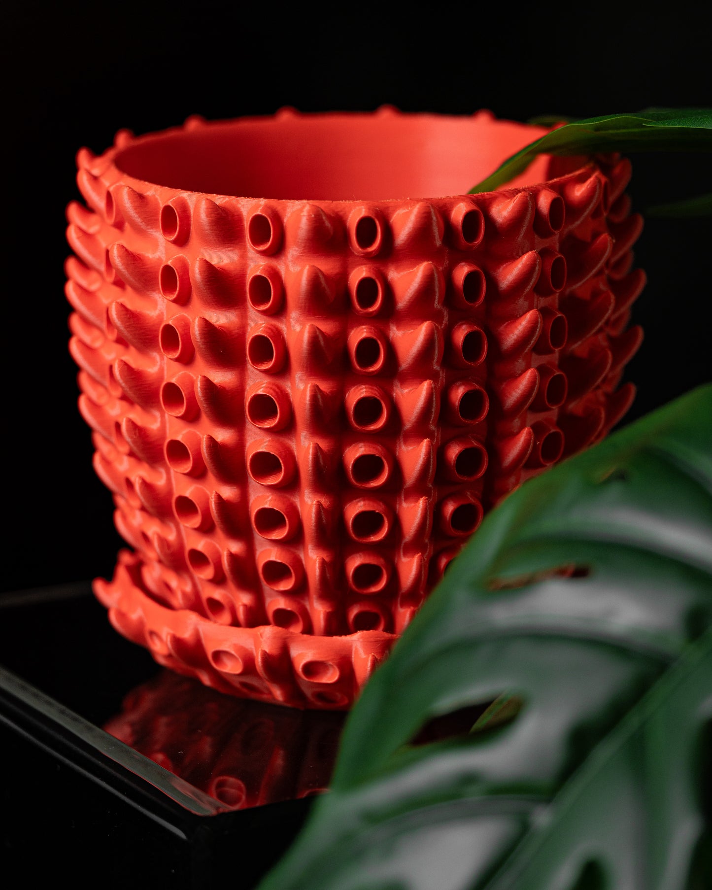 Barnacle Planter Pot