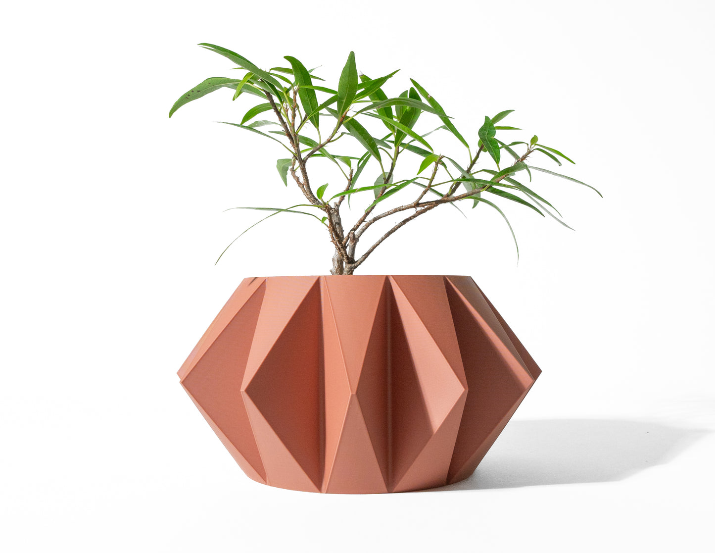 Koni Planter Pot with Drainage Tray & Stand