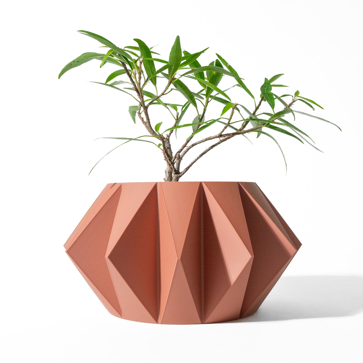 Koni Planter Pot with Drainage Tray & Stand