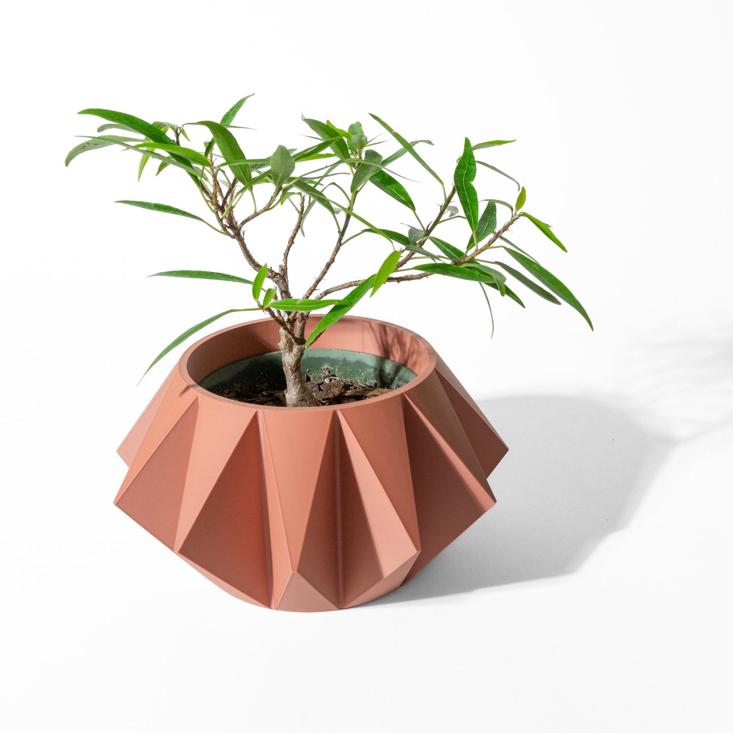 Koni Planter Pot with Drainage Tray & Stand