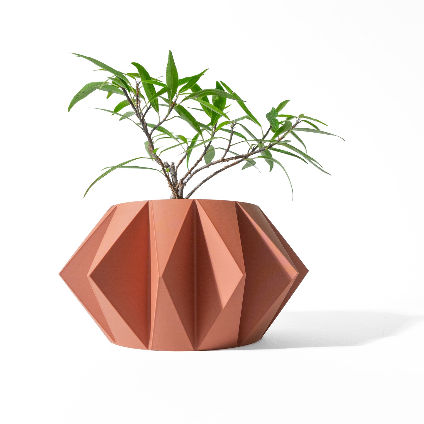 Koni Planter Pot with Drainage Tray & Stand
