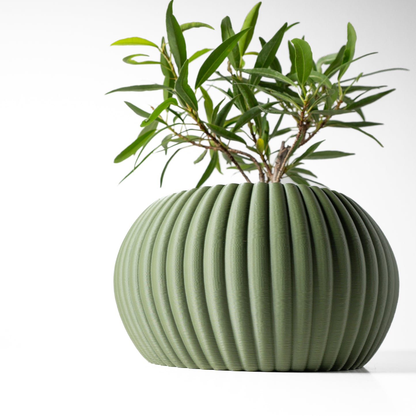 Roni Planter Pot
