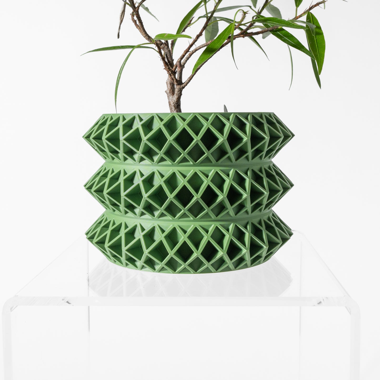 Tomo Planter Pot