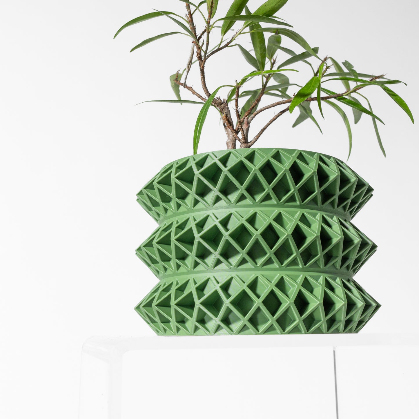 Tomo Planter Pot