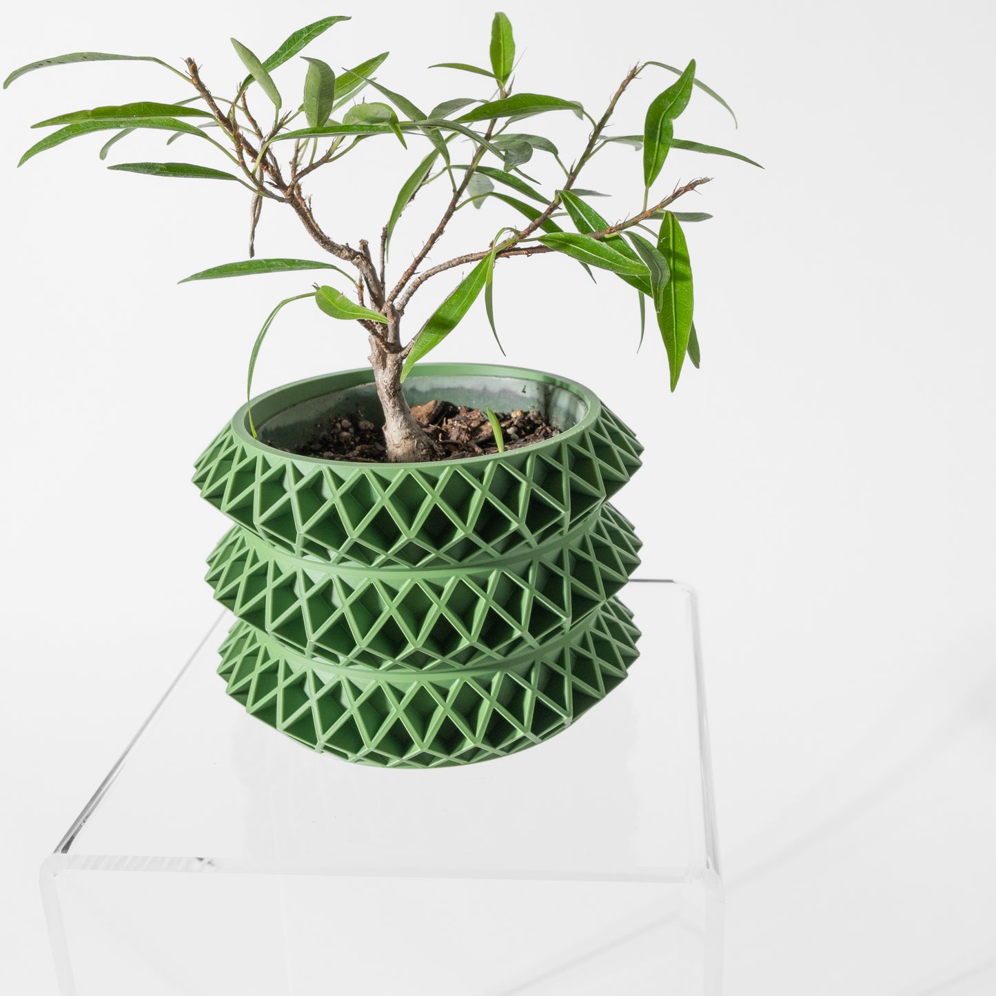 Tomo Planter Pot