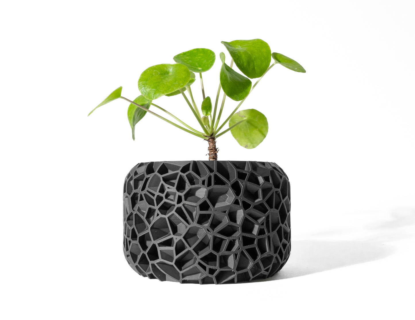 Vori Planter Pot with Drainage Tray & Stand