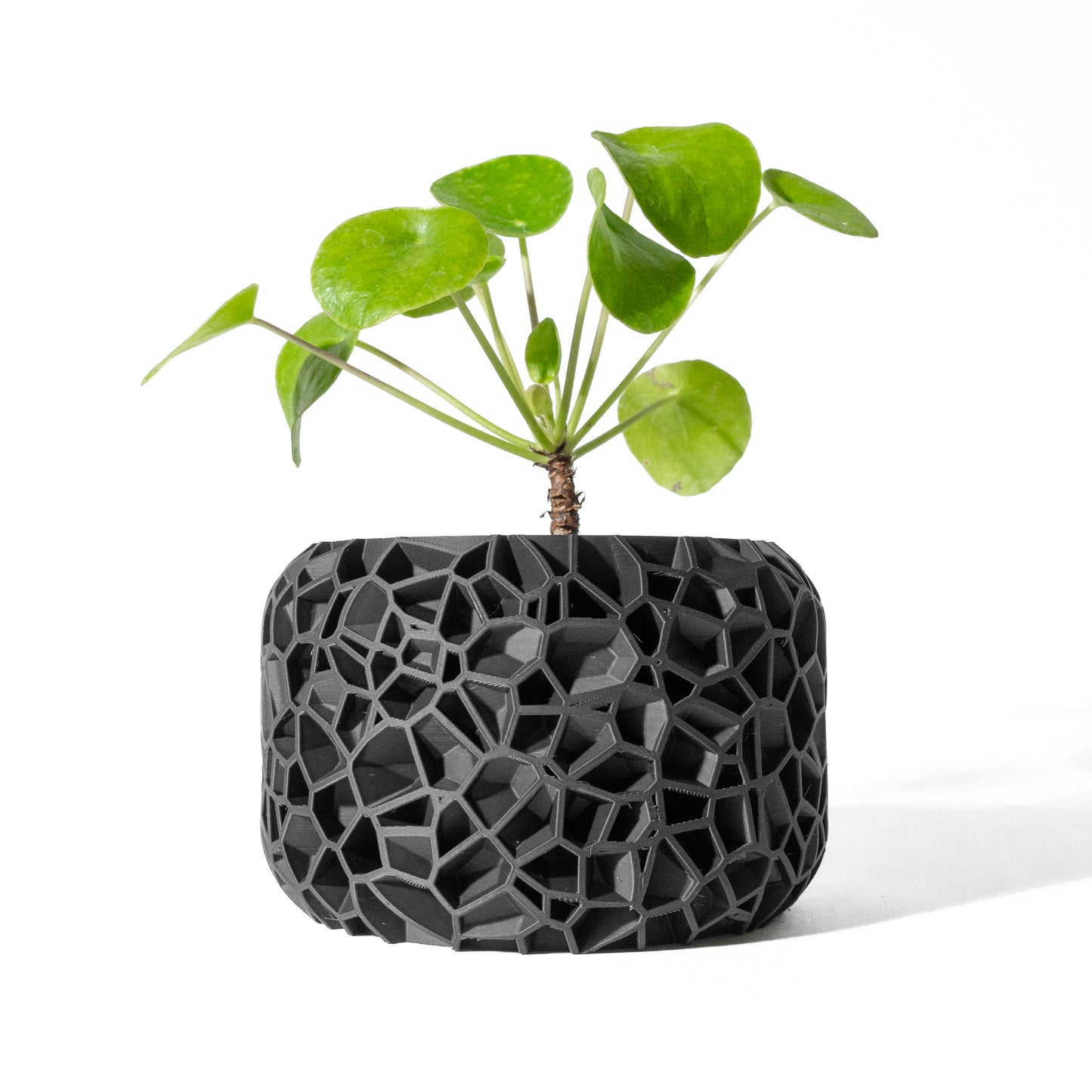 Vori Planter Pot with Drainage Tray & Stand