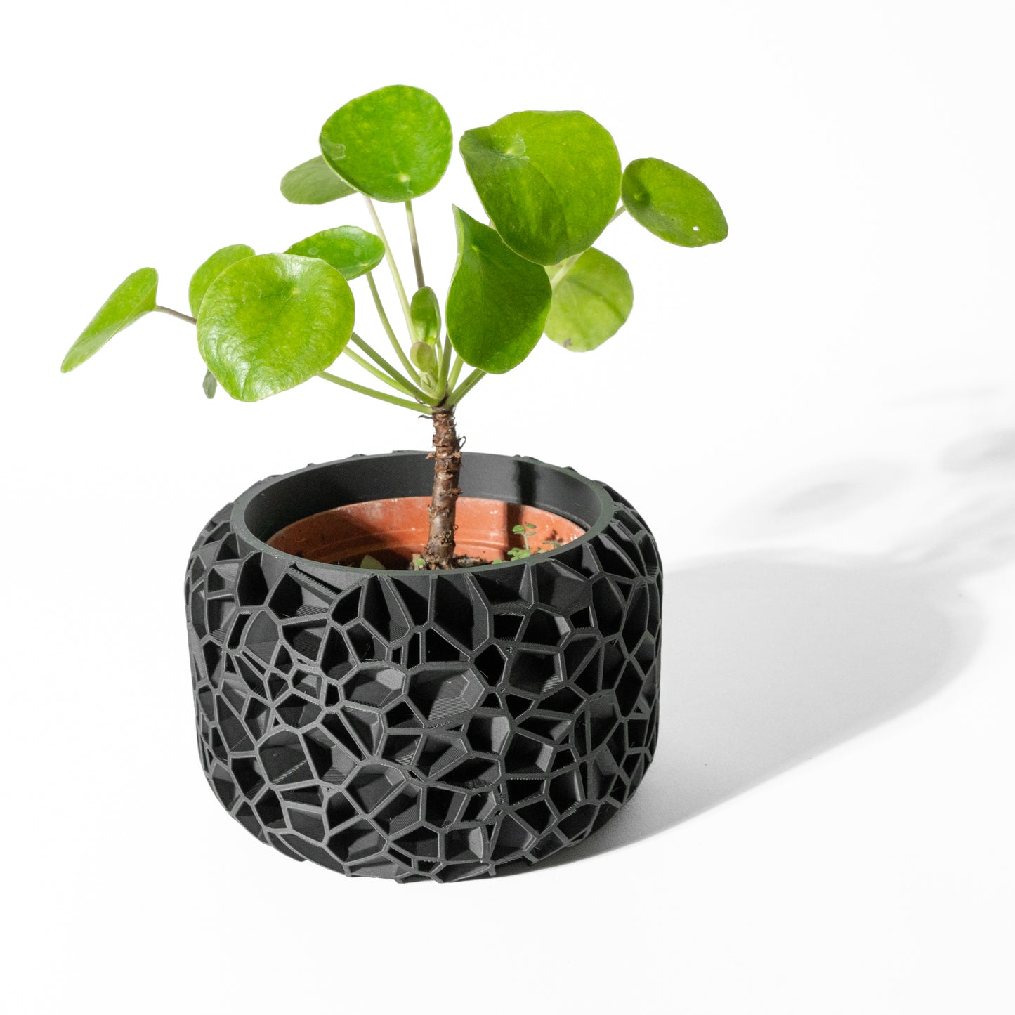 Vori Planter Pot with Drainage Tray & Stand