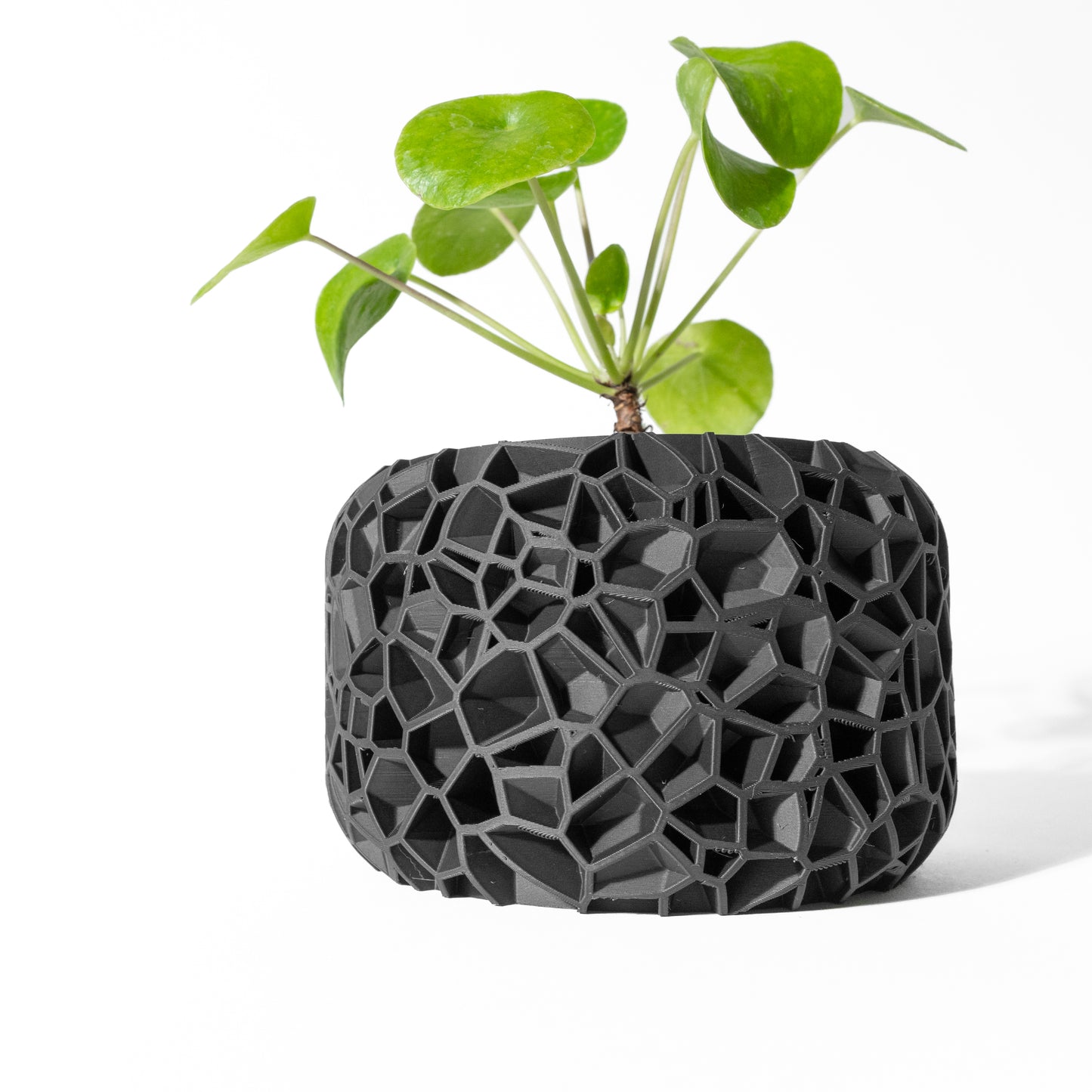 Vori Planter Pot with Drainage Tray & Stand