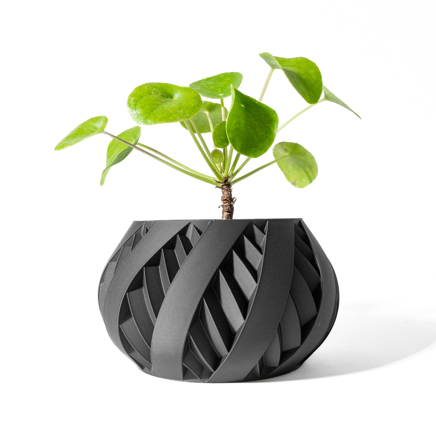 Silvo Planter Pot with Drainage Tray