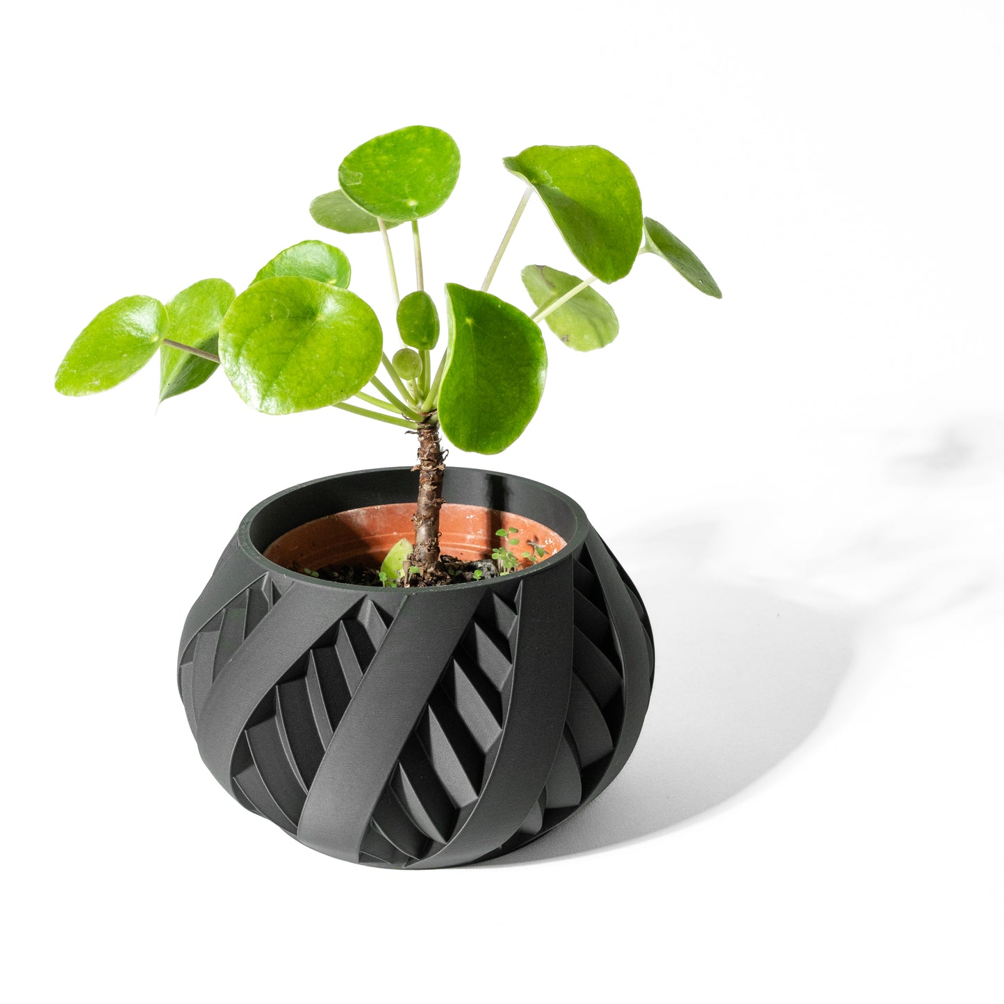 Silvo Planter Pot with Drainage Tray
