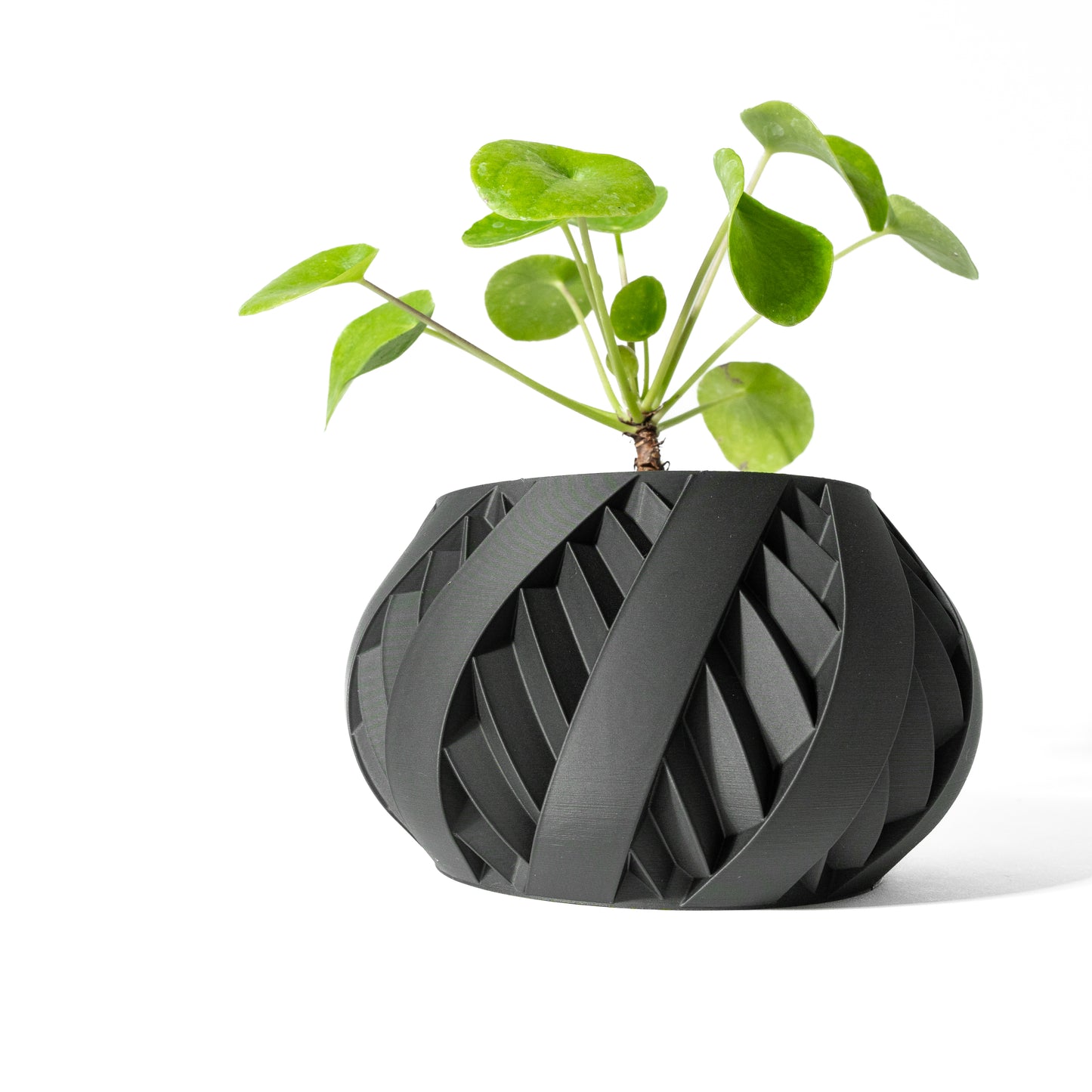 Silvo Planter Pot with Drainage Tray