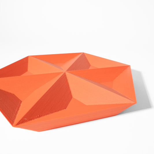 Paro Tray 3D Printed