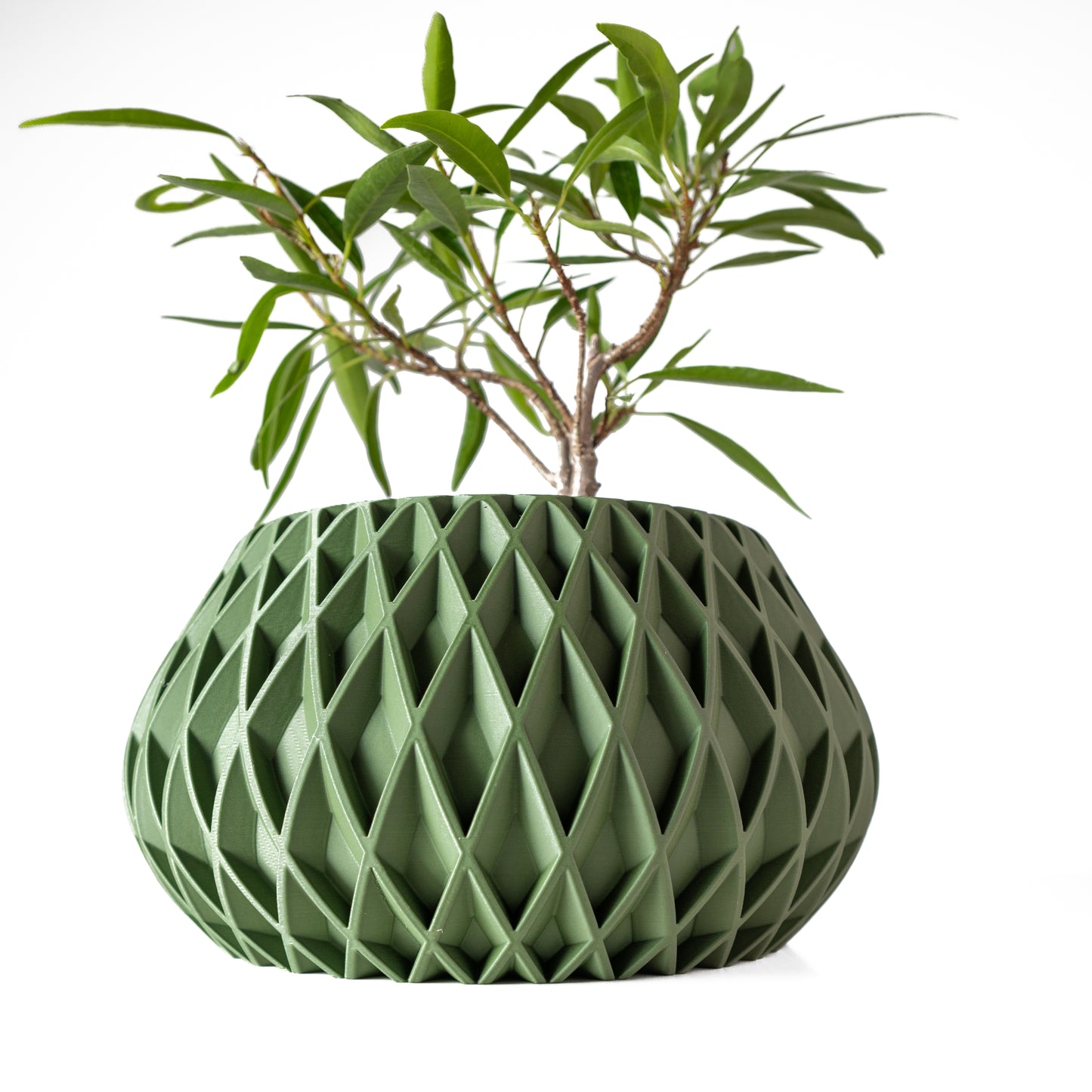 Rivio Planter Pot with Drainage Tray