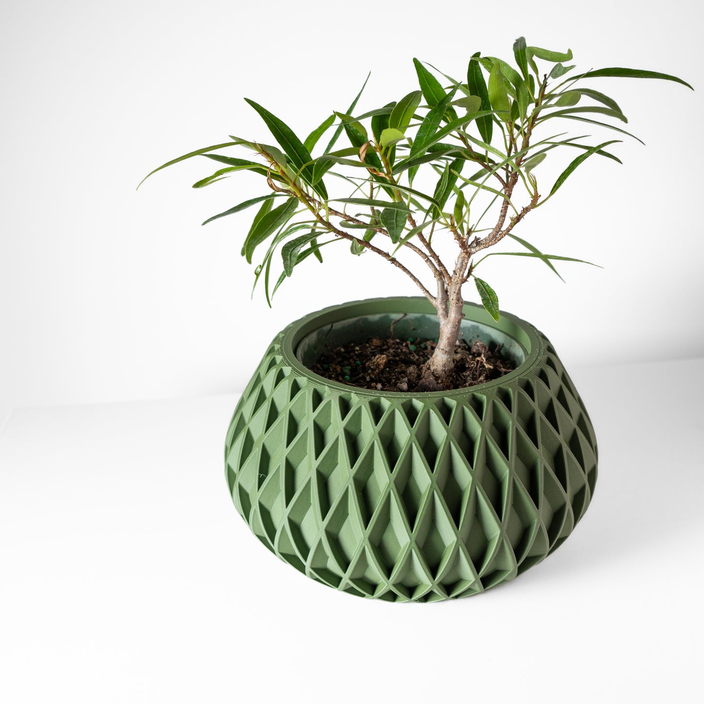 Rivio Planter Pot with Drainage Tray