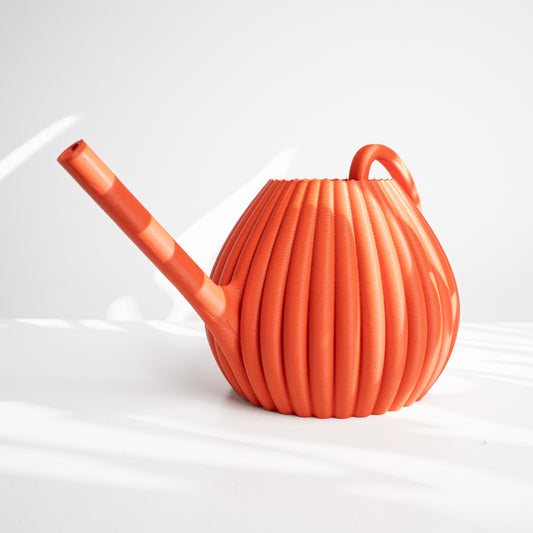 Vason Watering Can for Houseplants, Flowers, and Succulents