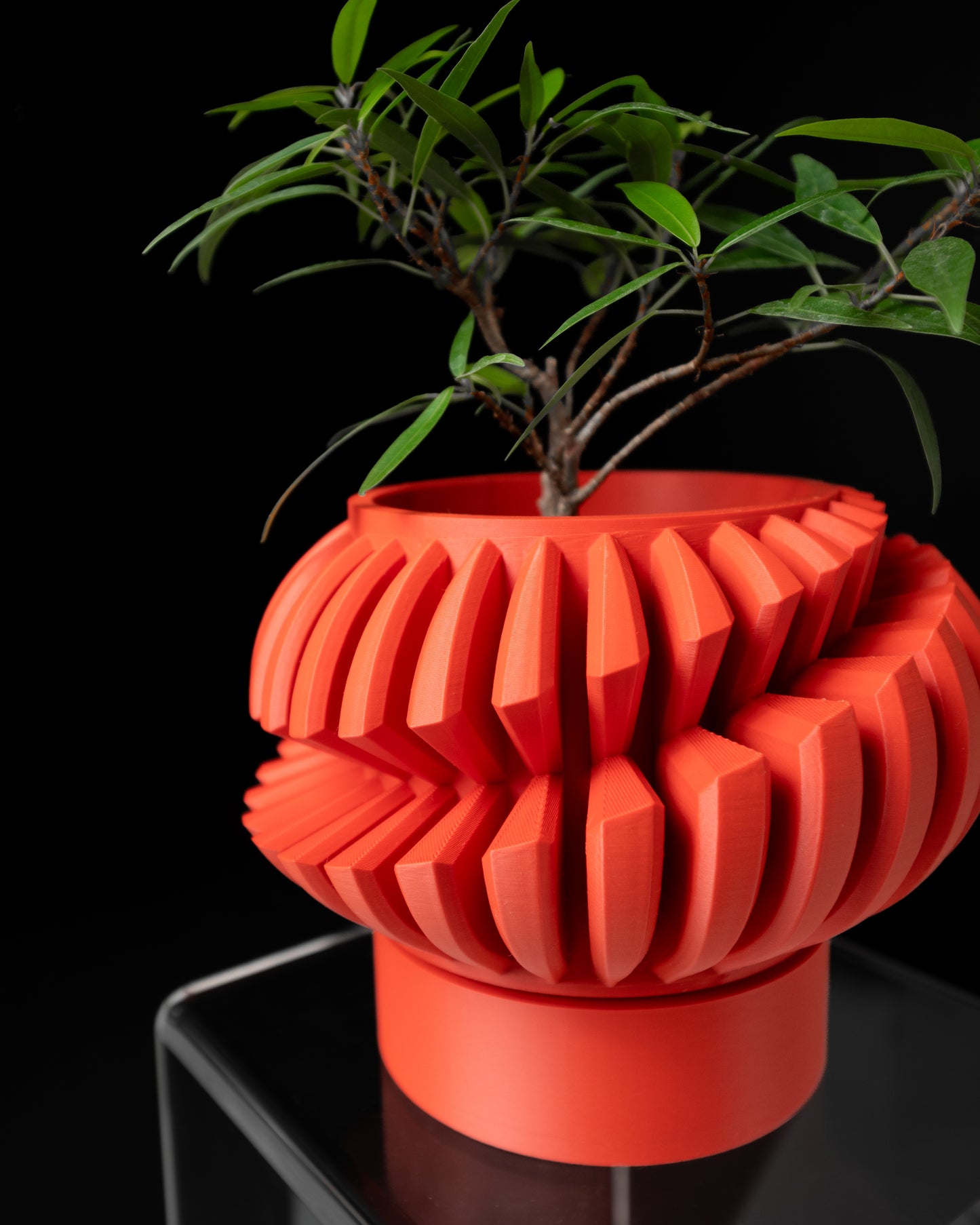 Luxira Planter Pot V2