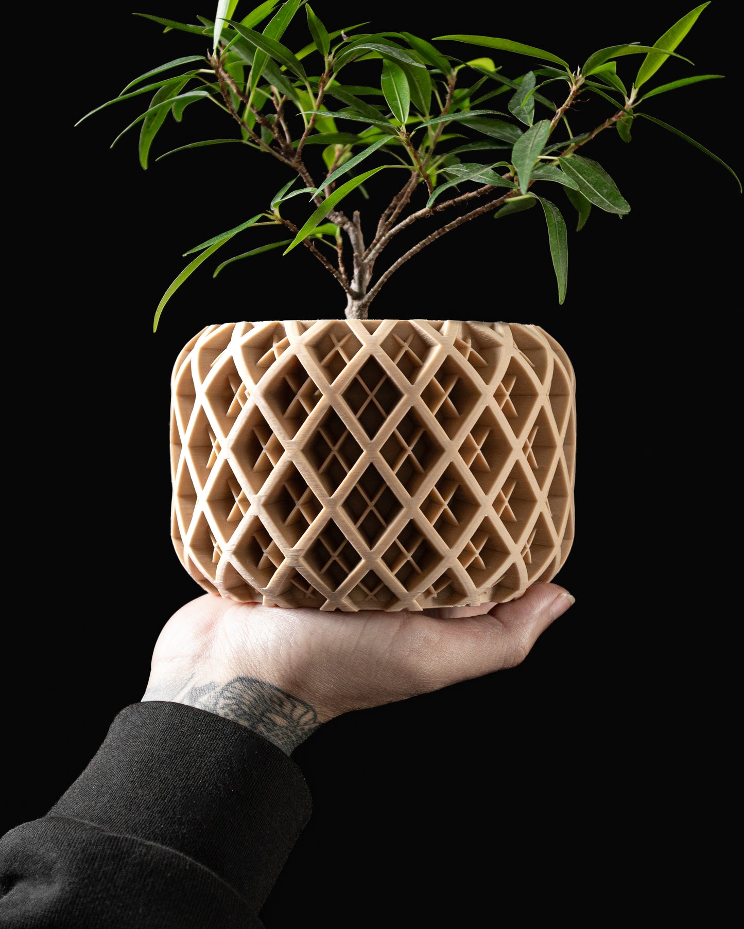 Torio Planter Pot