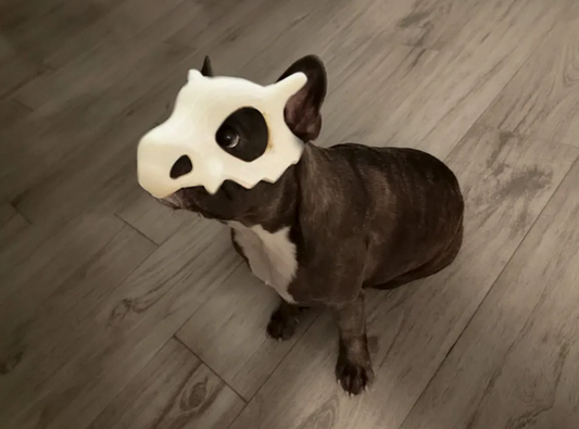 Cubon pokemon Mask For Cat [3D Printed]