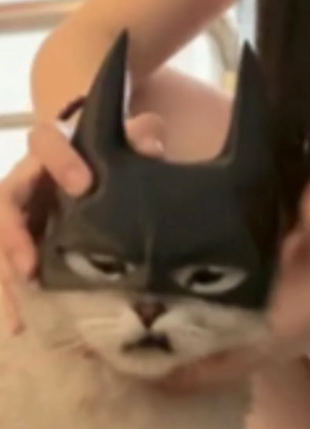 Long Ear Cat Mask Helmet For Cat [3D Printed] Black