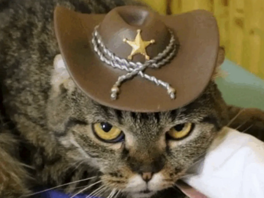 Cowboy mini Hat Mask For Cat [3D Printed] Gray