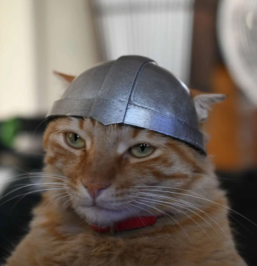 S Rankl Behemoth Cat Helmet For Cat [3D Printed] Gray