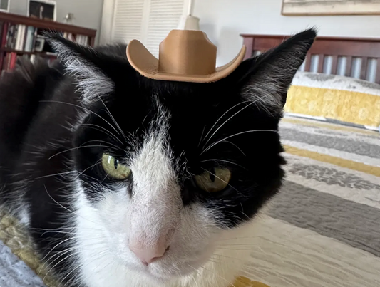 Cowboy Texas Hat Helmet For Cat [3D Printed] Black