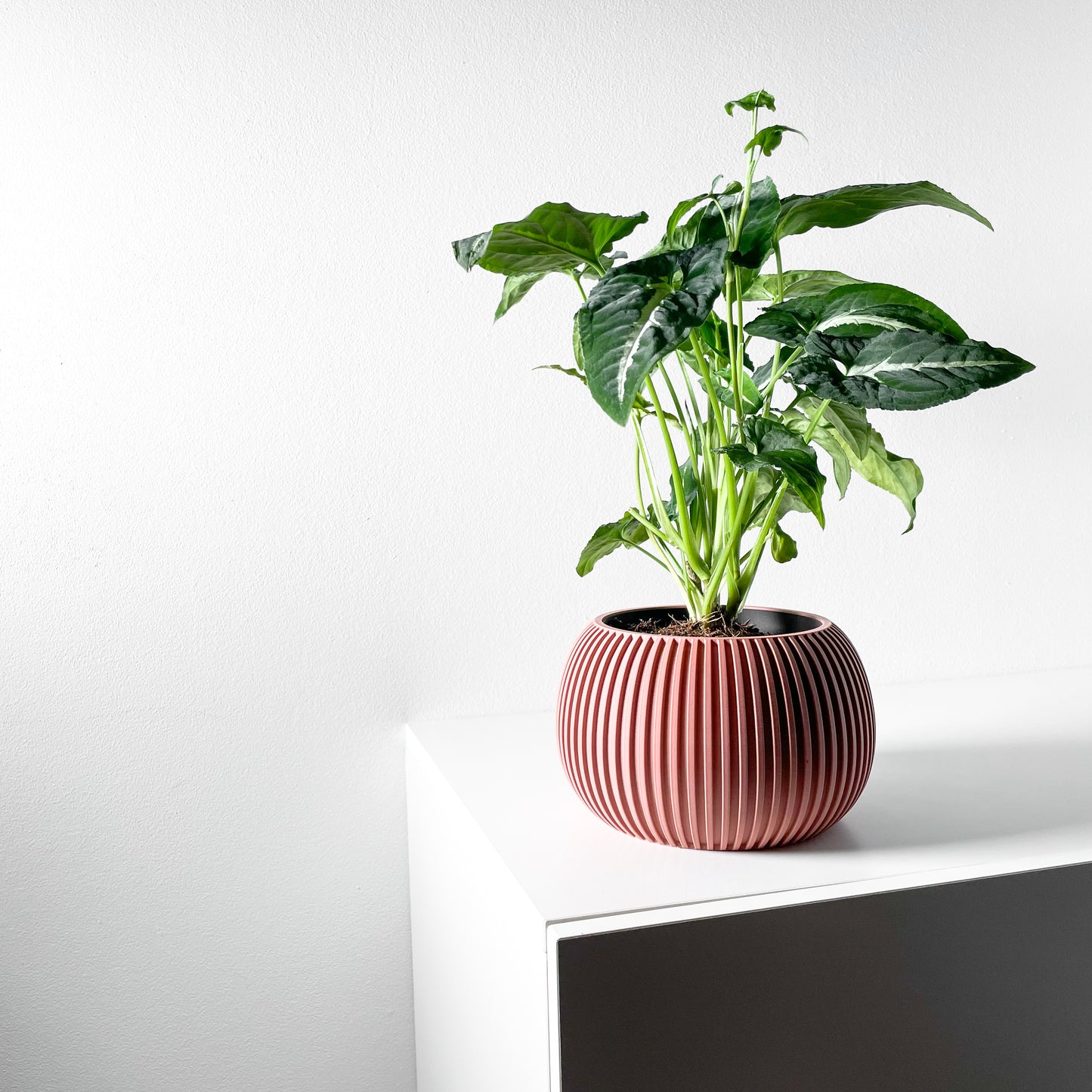 Surno Planter Pot