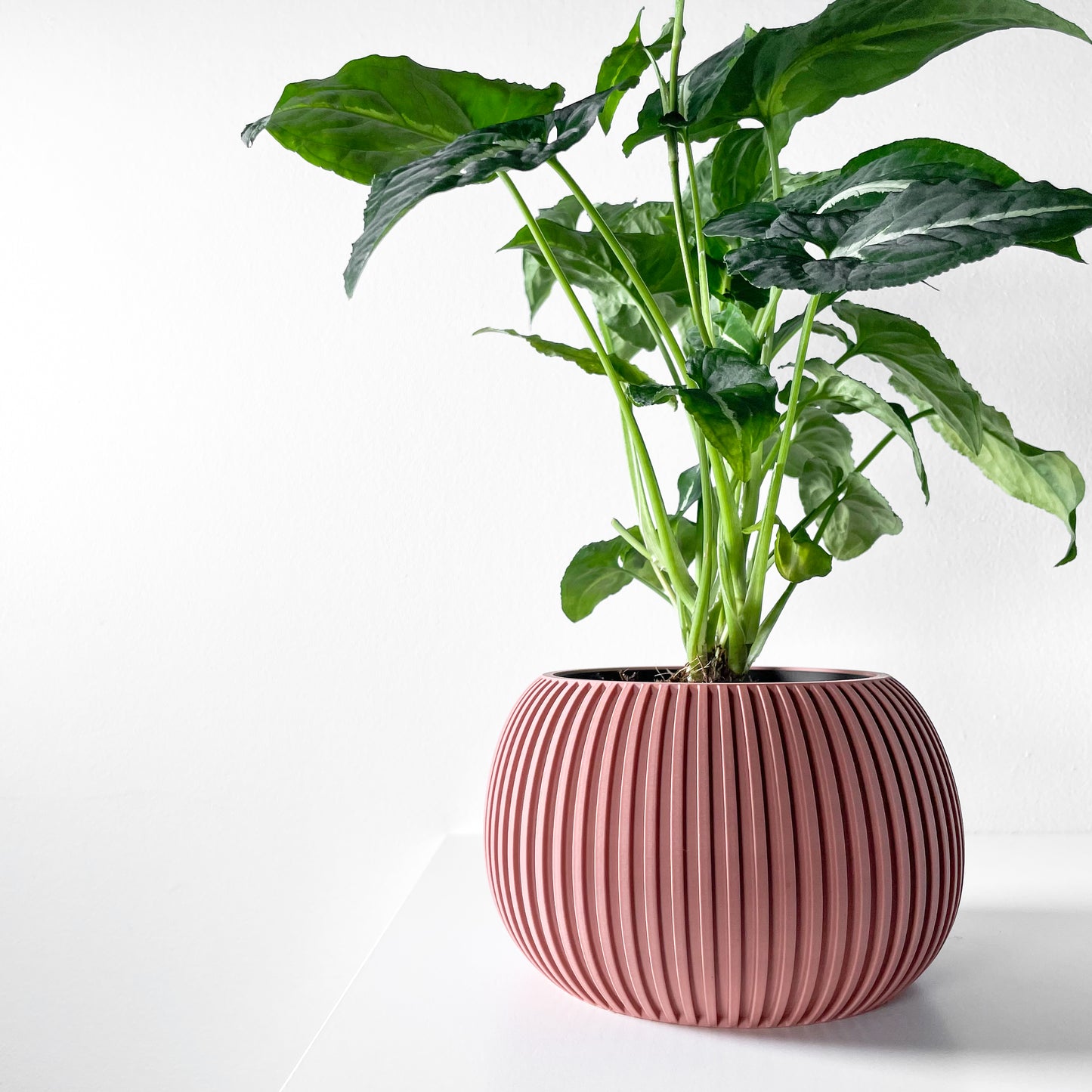 Surno Planter Pot