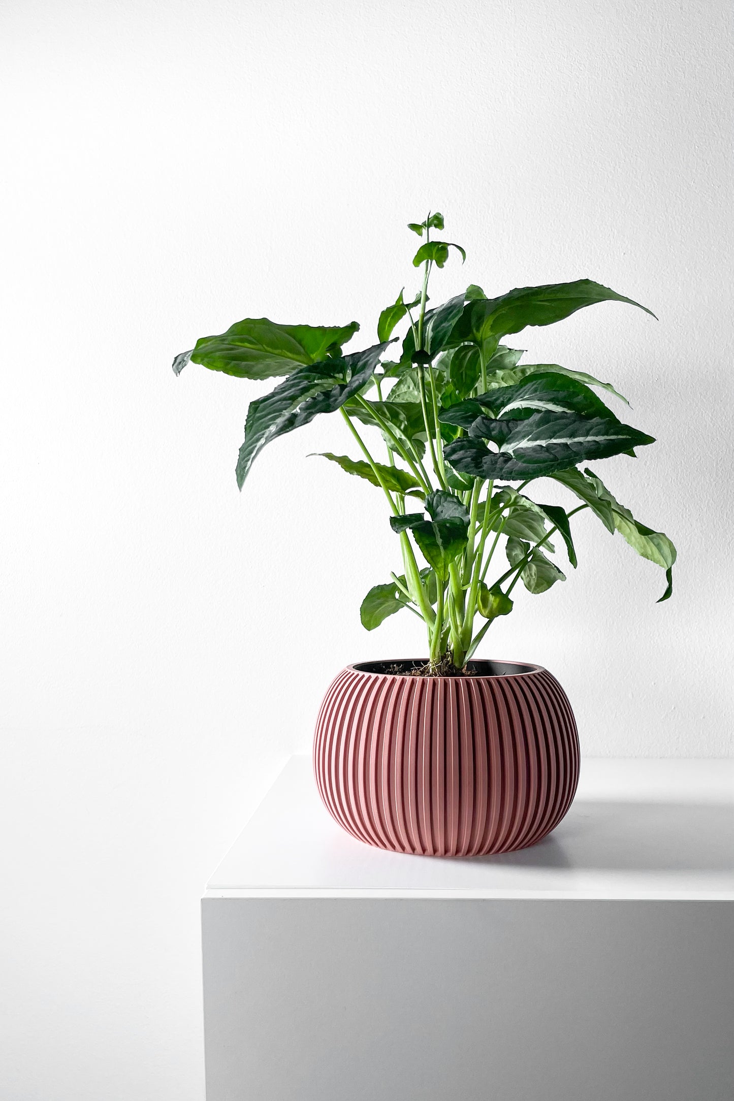 Surno Planter Pot