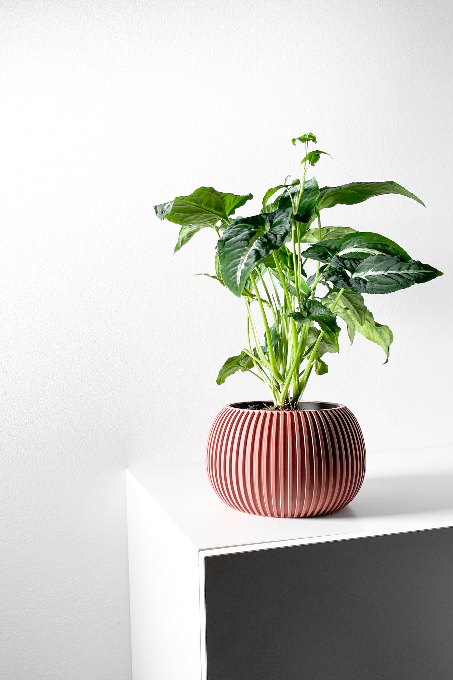 Surno Planter Pot