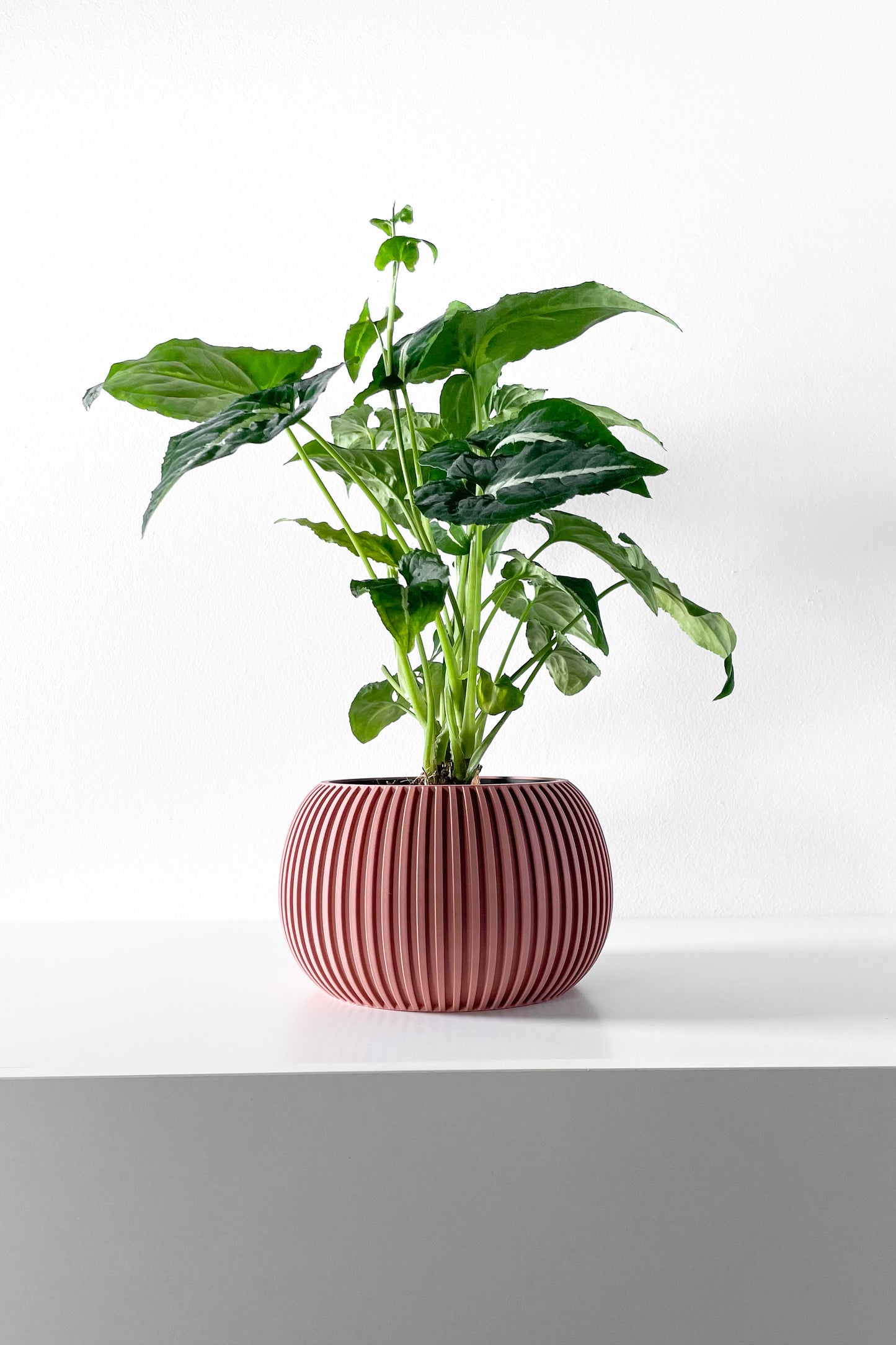 Surno Planter Pot