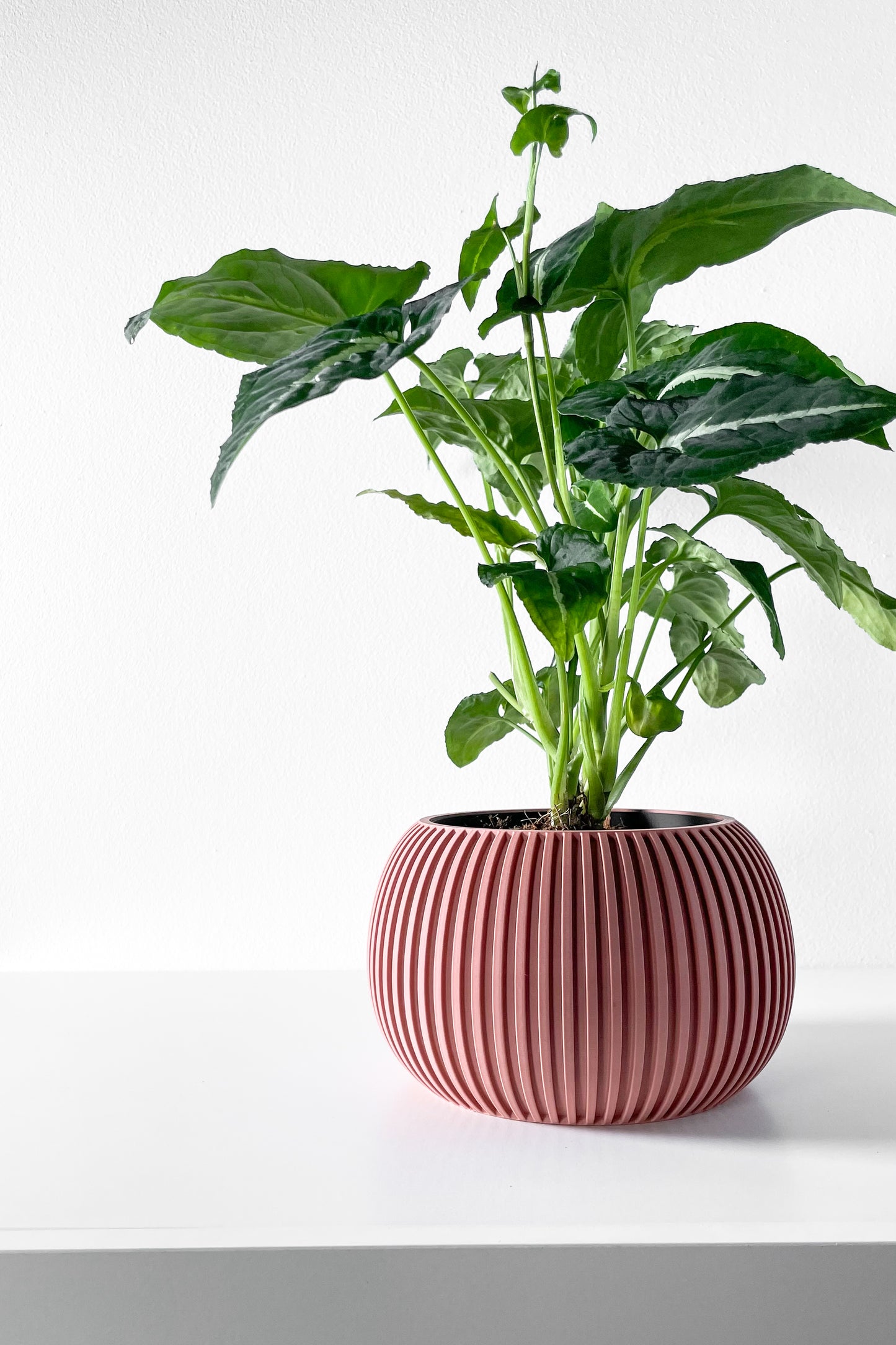 Surno Planter Pot