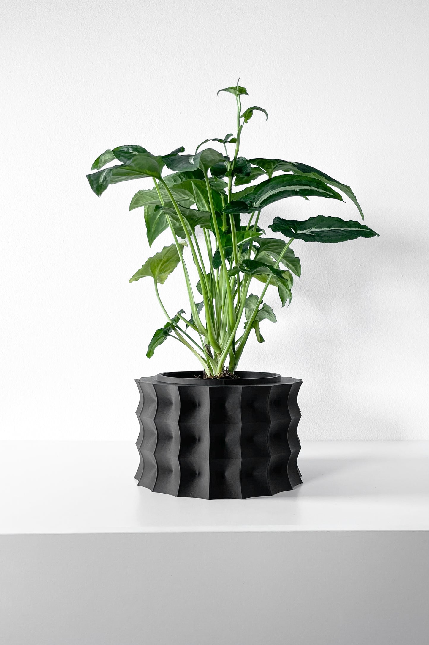 Kivern Planter Pot