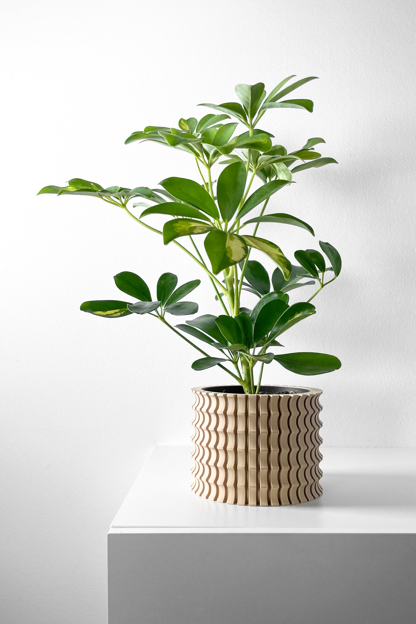 Tulam Planter Pot
